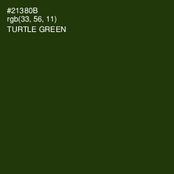#21380B - Turtle Green Color Image